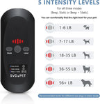 SVD.PET - Image 5