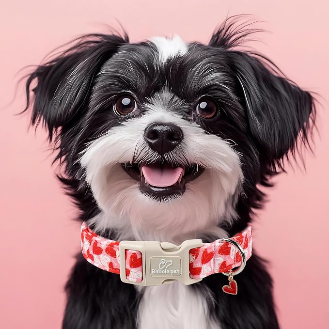 Valentines Dog Collar for Large Dogs - Image 7