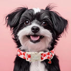 Valentines Dog Collar for Large Dogs - Image 7