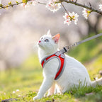 SCENEREAL Cat Harness and Leash Set Escape Proof, Adjustable Soft Air Mesh - Image 5