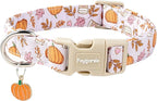 Faygarsle Fall Pumpkin and Leaves Pattern Dog Collar by Faygarsle