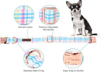 Unique style paws Dog Collar Metal Buckle Collar Gift - Image 2