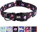 QQPETS Adjustable Soft Dog Collar: Print Flower Pink Multicolor Cute Patterns by QQPETS