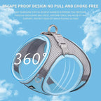 AIITLE Escape Proof Dog Harness - Image 9