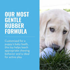 KONG Puppy - Natural Teething Rubber Chew Toy - Image 3