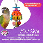 Super Bird Creations SB1086 Having a Ball Bird Toy - Image 6