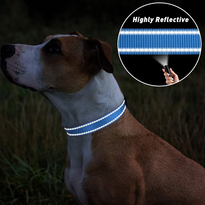 TagME Small Dog Collar, Adjustable Reflective Nylon Pet Collar - Image 5