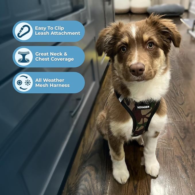 Best Pet Supplies Voyager Step-in Air Harness - Image 3