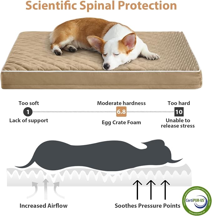 WNPETHOME Orthopedic Big Dog Beds Large Sized Dog, Waterproof Extra Large Dogs - Image 3