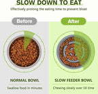 Pecute Slow Feeder Dog Bowls to Slow Down Eating, Dog Bowl Slow Feeder - Image 3