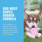 KONG Puppy - Natural Teething Rubber Chew Toy - Image 4