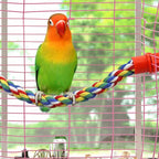 Bird Rope Perches for Parrots, Cockatiels, Budgie Cages Comfy Birds Colorful - Image 2