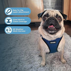 Best Pet Supplies Voyager Step-in Air All Weather Mesh Harness and Reflective - Image 5