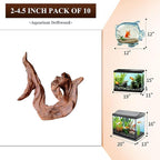 majoywoo Natural Small Driftwood - Image 2