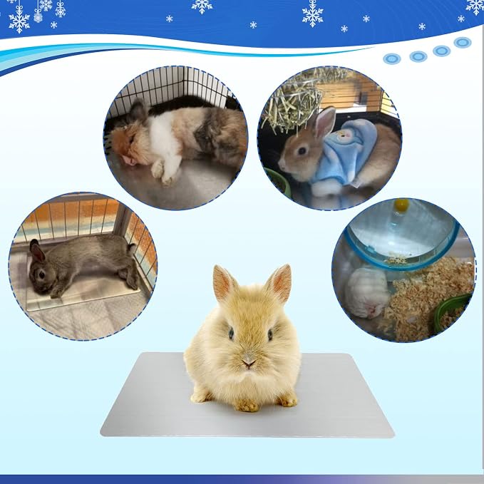 11.8x7.9 IN Pet Cooling Mat for Rabbit, Guinea Pig & Other Small Pets - Image 4