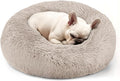 Hoewina Dog & Cat Bed, 20in Cat Beds by Hoewina