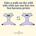Lucy & Co. Cute Reversible Dog Harness Walking Halter - Image 3