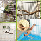 PINVNBY Bird Perches for Cage - Image 2