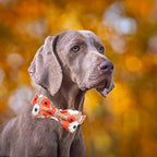 Fall Dog Collar, Pet Collar Bow Floral Pet Collar Girl Boy Holiday Pet Collars - Image 4