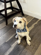 Elegant Little Tail Shark Print Adjustable Bowtie Collar - Image 5