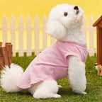 Custom Dog T-Shirts with Name, Breathable Personalized Print or Embroidered - Image 3
