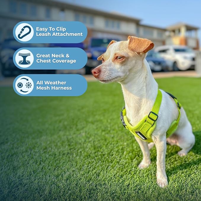Best Pet Supplies Voyager Step-in Air Harness - Image 3