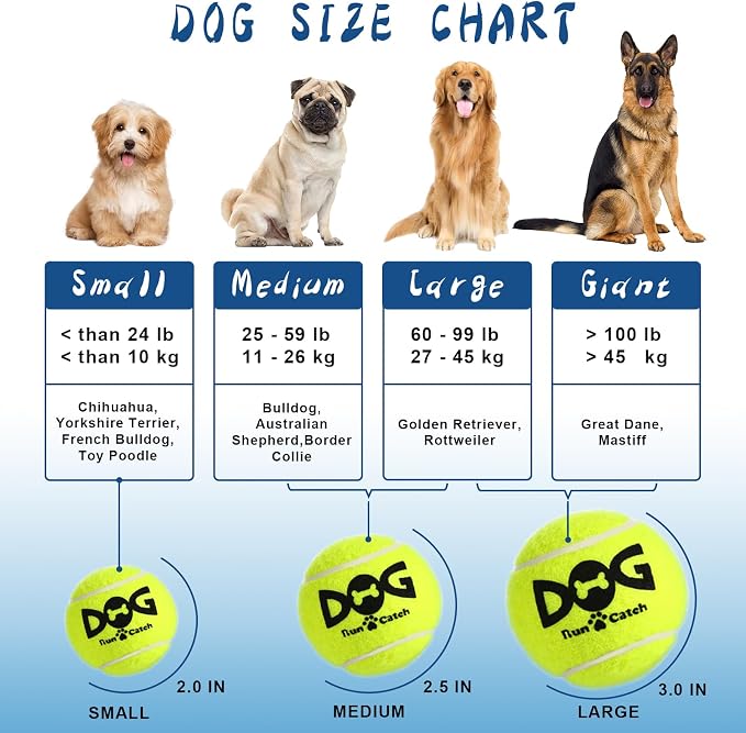 Squeaky Tennis Balls for Dogs - Image 8
