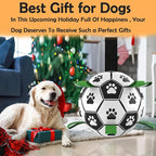 Dog Soccer Ball, Interactive Toys - Image 6