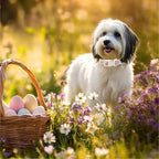 Easter Dog Collar for Small Dogs - Image 5