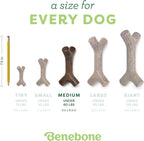 Benebone Bacon Stick Durable Dog Chew Toy - Image 4