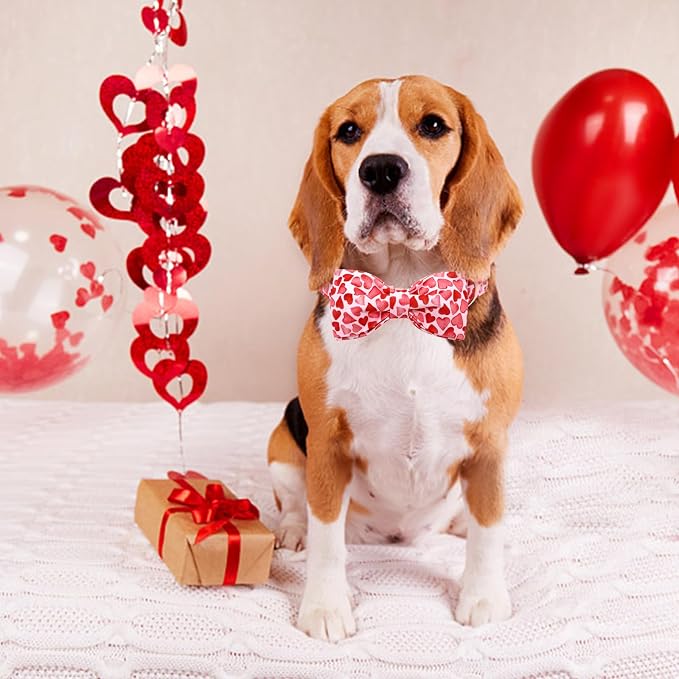 Lionheart glory Dog Bow Collar Valentine's Day Dog Collars Adjustable Soft Red - Image 4
