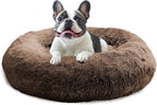 JOLLYVOGUE Calming Dog Bed for Small Dogs by JOLLYVOGUE