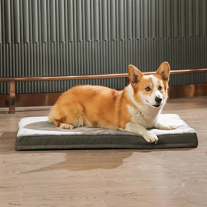 Amazon Basics Washable Dog Bed - Image 6