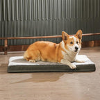 Amazon Basics Washable Dog Bed - Image 6