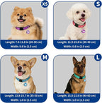 Reflective Dog Collar for Medium Dogs - Image 7