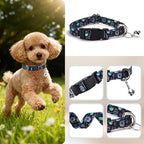 XS Dog Collar with Bell - Image 2