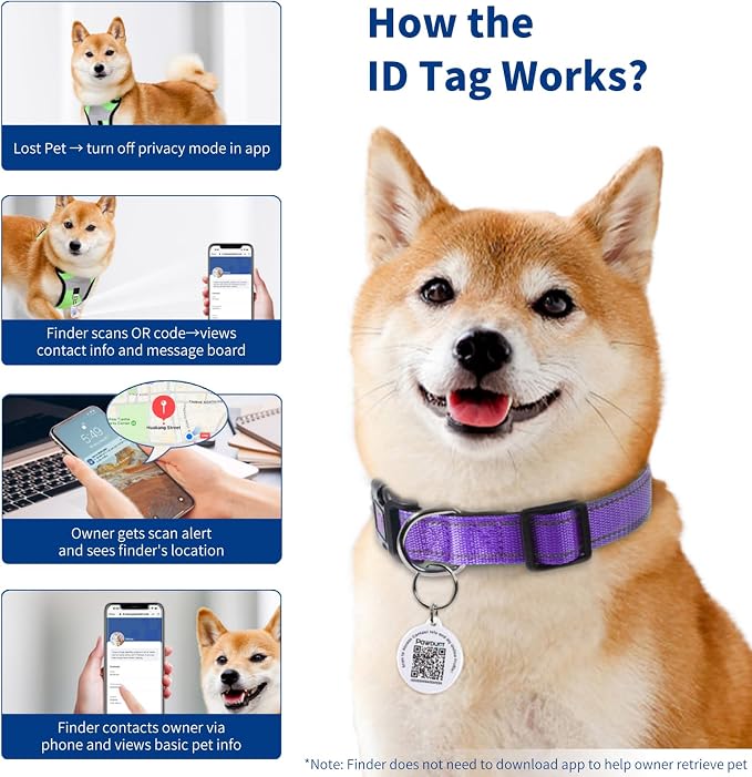 Reflective Dog Collar for Extra Small Dogs - Image 5