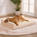 Dog Bed Large Sized Dogs, Orthopedic Dog Bed by Aeroluxe