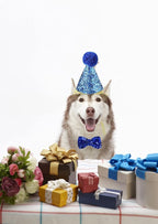 Christmas Pet Party Jazz Hat and Blingbling Bow Tie Breakaway Collar Set - Image 4