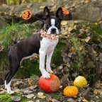 Dog Collar - Thanksgiving Turkey Dog Collar Gift Soft Bow Collar Adjustable - Image 5
