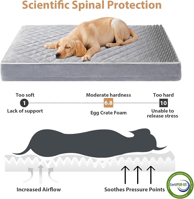 WNPETHOME Orthopedic XL Dog Beds Large Sized Dog, Waterproof Extra Large Dogs - Image 3