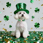 St. Patrick's Day Dog Collar for Large Dogs - Image 6