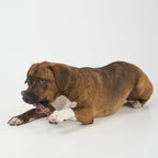 SPOT Bam-Bones Wishbone - Image 8