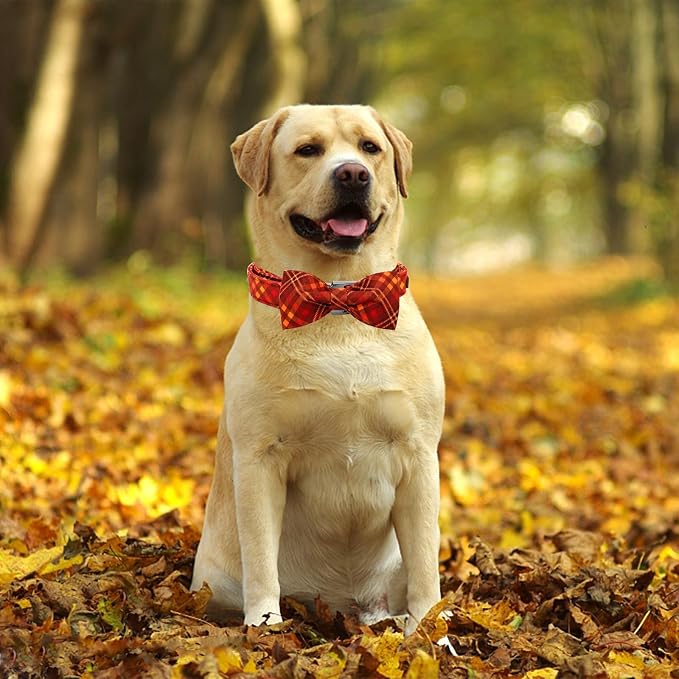 Fall Dog Collar, Pet Collar Bow Plaid Pet Collars Girl Boy Holiday Pet Collars - Image 5