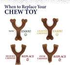 Nylabone Gourmet Style Strong Chew Toy Bundle, Toys - Image 8
