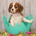 Easter Dog Collar for Medium Dogs - Image 5