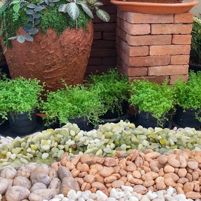2LB Succulent and Cactus Pebbles, 1/5 Inch Jade Natural Decorative Polished - Image 6