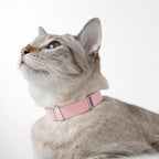 Safety Cat Collar - Image 3