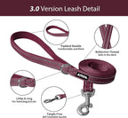 AIITLE Comfortable Dog Harness and Leash Set - Image 7