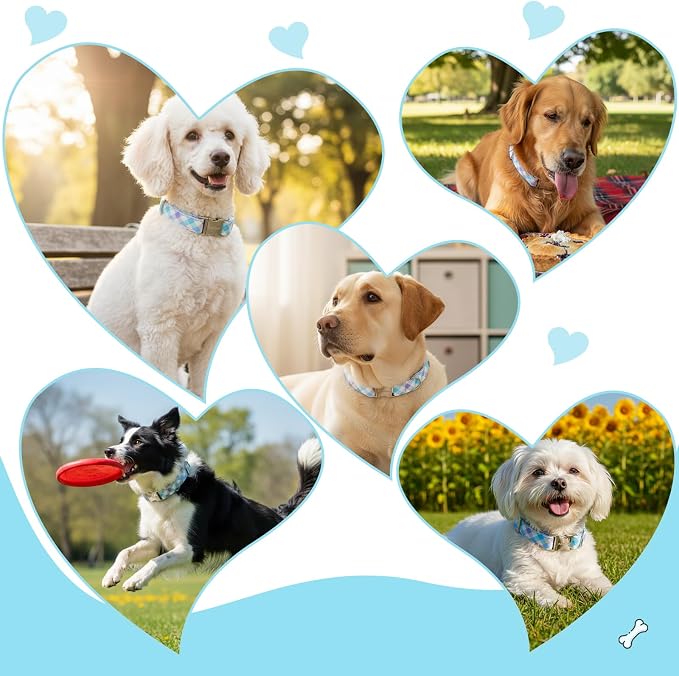 Cotton Collar for Dog，Soft Adjustable Dog Collars for Extral Small Dogs - Image 7